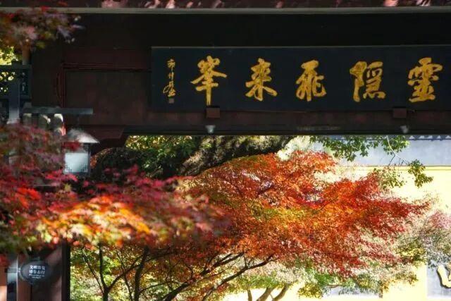 免费首日，预约爆了！杭州大哥晒出40年珍藏，满满的回忆…