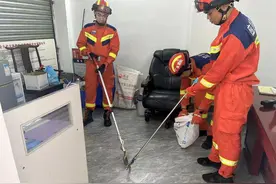 初秋来临蛇出没，这份防蛇指南请收好图片