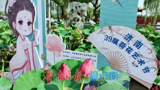 一年四季 泉在济南｜济南第39届荷花艺术节启幕，邀您共赏湖畔荷韵盛宴！