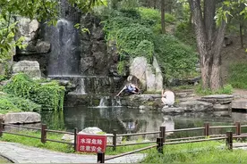 陶然亭小瀑布火了，游客为拍照铤而走险，公园紧急立提示牌图片