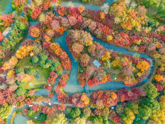金山人宣布！这条宝藏线路将是“上海旅超”秋冬名场面!