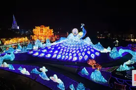 自贡灯会已吸引近27万人次游客 全国省级人才可免费观灯图片