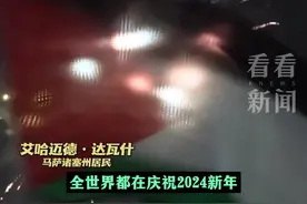 “这是种族灭绝”美国民众跨年夜游行声援巴勒斯坦图片