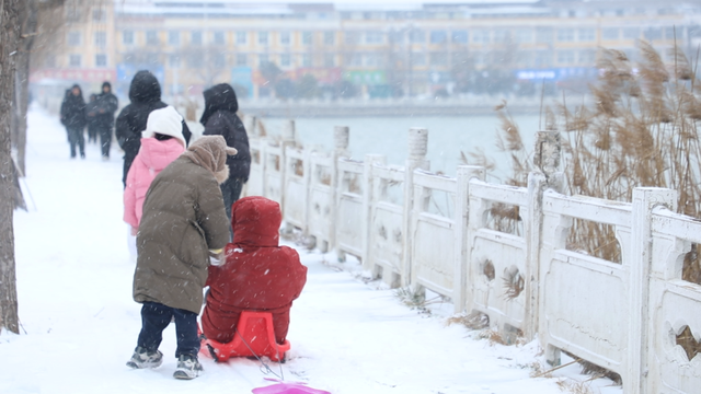 睢县迎来今冬首场降雪 北湖景区成热门打卡地