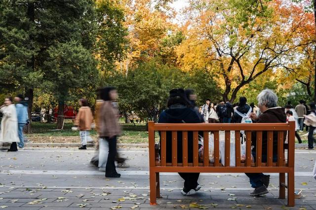 在北京花2元看“海”，这古早景点彻底翻红