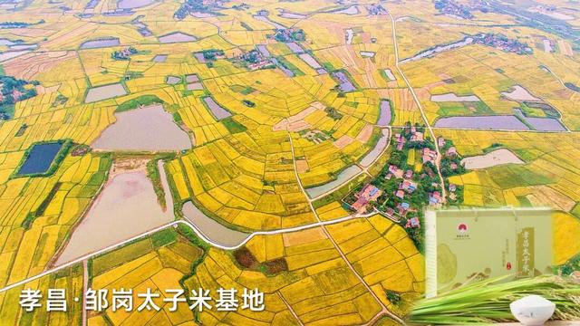 “孟孟”回乡惊叹：原来你是这样的孝昌