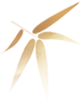 无需远行，戴震公园邀你畅玩双节！