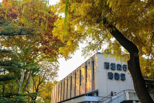 当立冬遇见金秋，北京动物园赏秋打卡攻略