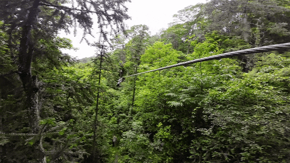 年末团建玩点不一样的！「冬游古木冲」限定攻略来了！