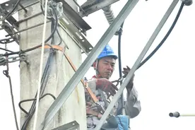 松鼠惹祸造成停电 工作人员冒高温抢修复电图片