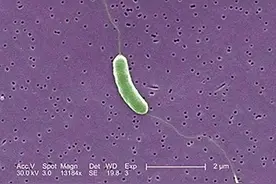 冲上热搜！2岁儿童摸鱼后竟要被截肢？医生提醒！图片