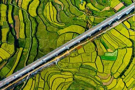 湖南怀化：通往春天的高铁穿过油菜花田图片