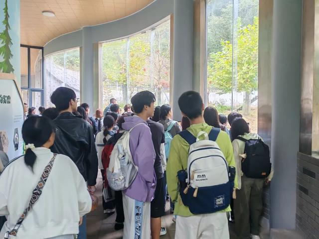 国庆中秋假期 华蓥山大熊猫苑持续火爆