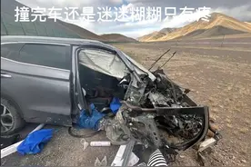 花上百万包机转院？还原阿里地区“公务员献血事件”经过图片