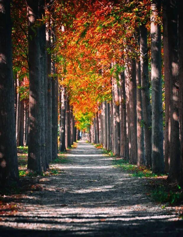 9条乡村旅游线路，就按这个玩…