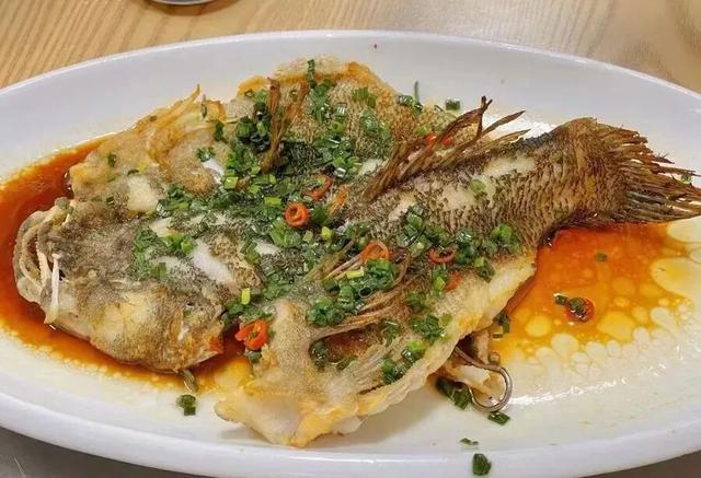 品精酿、尝美食、攀岩打卡……来闵行这里，解锁N种玩法→