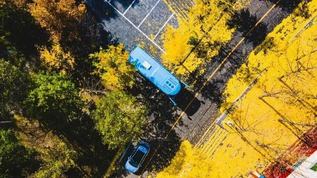 待天晴，看洛阳漫山姹紫嫣红→