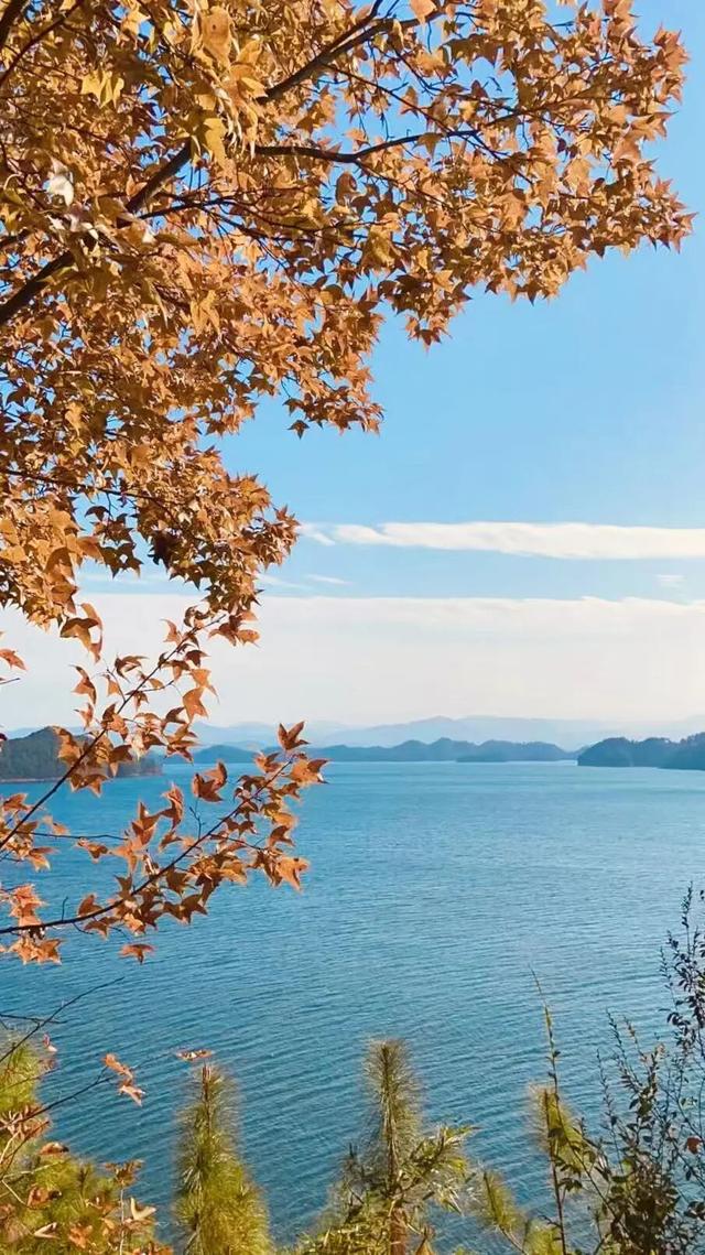 “车行山水间 心泊千岛湖”，国庆自驾游不二之选！