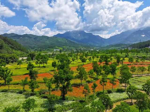 罗田秋韵：杜鹃漫坡映碧水，红叶景区花满岸