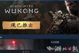 中国首款3A大作《黑神话：悟空》全球同步发售 首日好评率达到96%图片