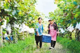 “西安文旅”成热词 “生态格局”亮点多 古都“西”引力强力输出图片