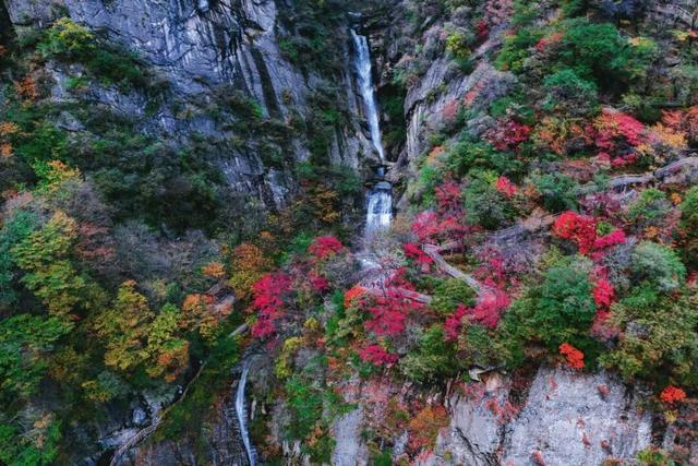 西安这两个公园官宣：开园啦！