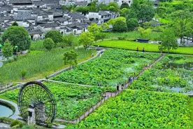 安徽黟县：夏日古村乐游人图片