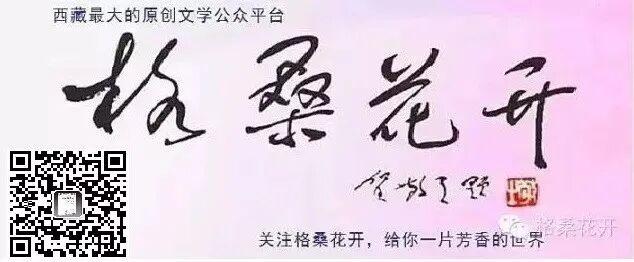 诗和远方：当惹雍措，聆听象雄的呼唤