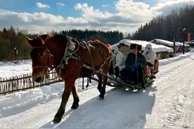 吉林冰雪：醉了游客富了乡村图片