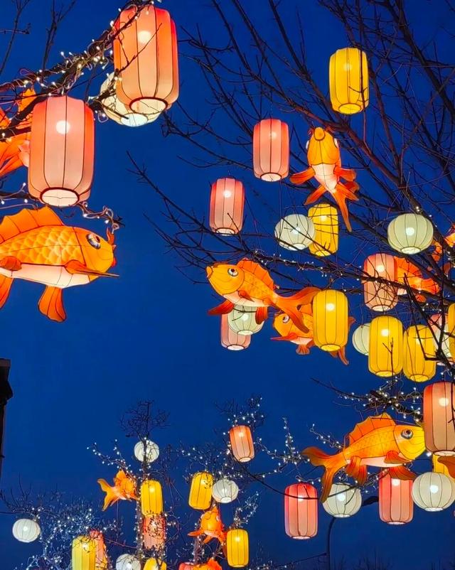 氛围感拉满！海淀这条街，年味儿已“上线”——