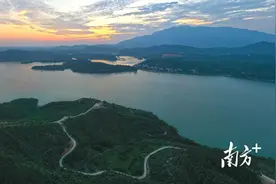 锚定环“两山”休闲小镇，博罗湖镇打响农产品品牌升级战图片