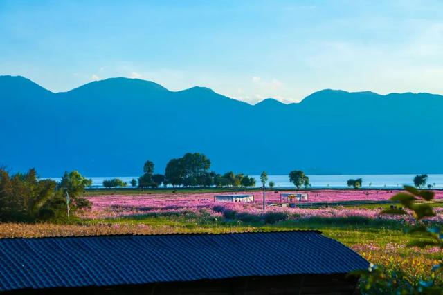 【跟着川超游凉山】秋日泸沽湖,邂逅高原明珠的梦幻色彩