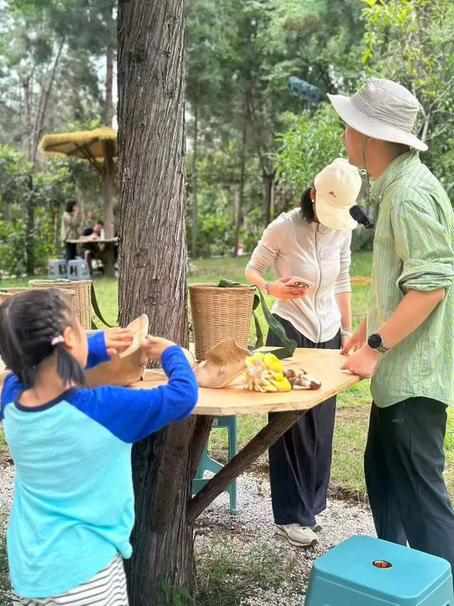 生活丨大理这两个地方竟然四季有菌采！谁懂啊！