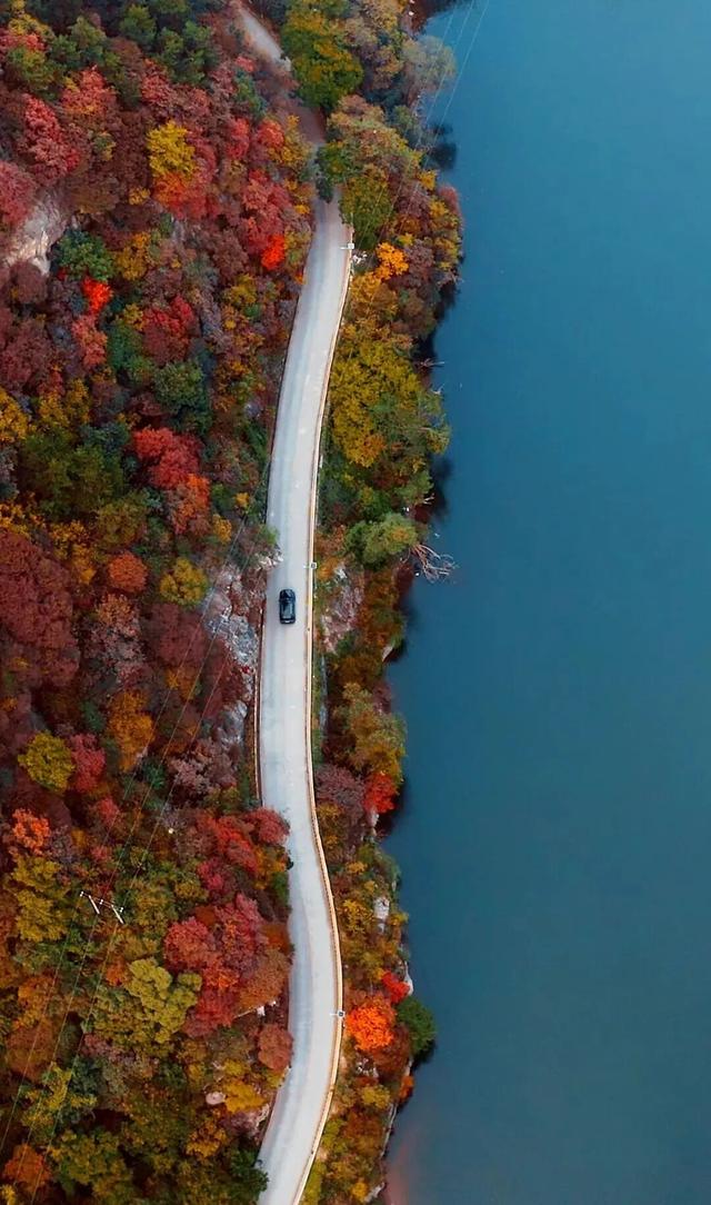 畅游年卡上新！解锁2026全年精彩，省钱又省心