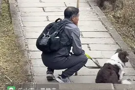 男子牵狗上峨眉山直播挑衅猴群？景区回应：带狗上山违规，没有直播博眼球图片