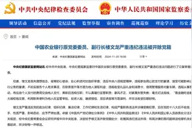 农行原副行长楼文龙被开除党籍图片