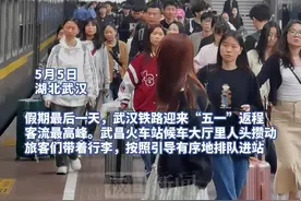 武汉铁路迎来“五一”返程客流最高峰图片