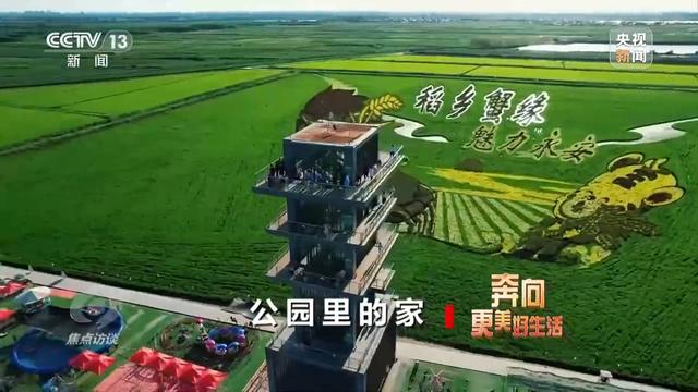 从家门口的公园里 解码城乡共同发展绿色密码