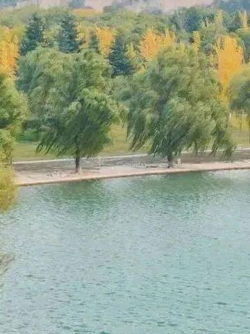 初冬高饱和度美景，还得看洛阳！