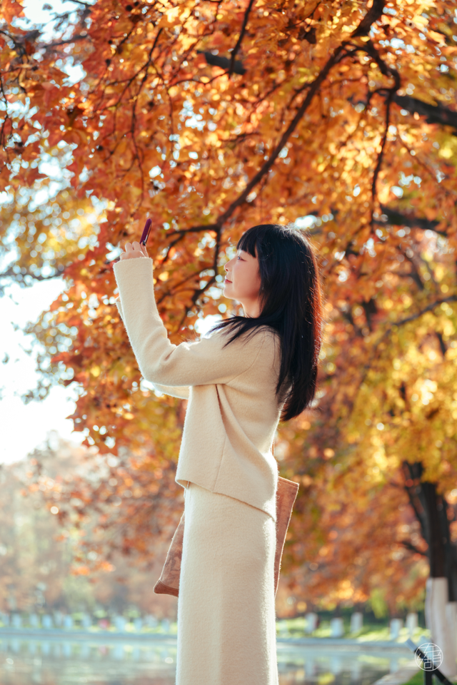 东湖这四处绝美秋景，出片率100%