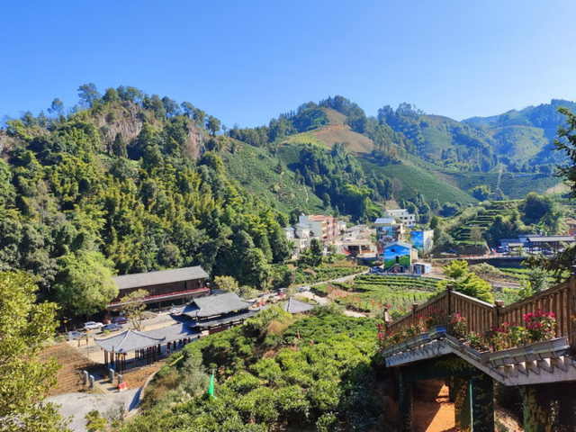 2.5h缩短至1h车程！趁高速通车来这两座宝藏小城，品品茶香和诗意……