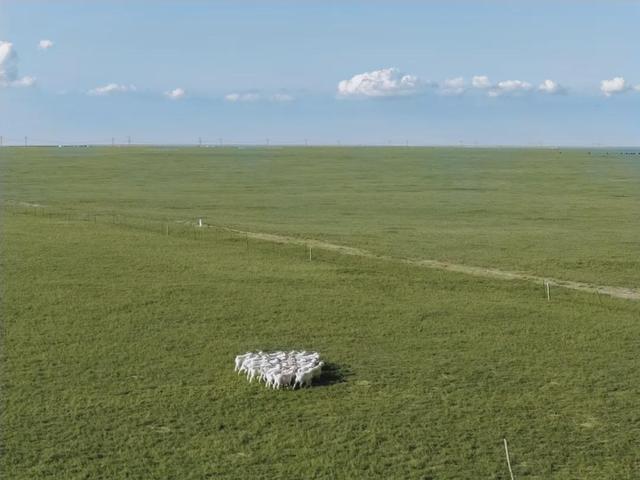 鄂尔多斯鄂托克旗——生态画卷展振兴之歌