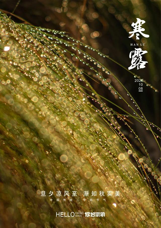 从蒸笼鲜食到汉服穿越，崇明这个景区打造市民度假新选择