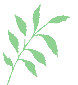 南京红山森林动物园最新通告