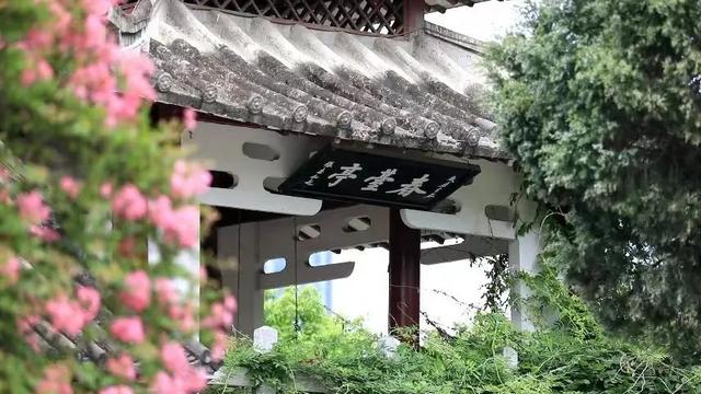 豫见两山 绿色答卷丨生态之旅——打卡“生物多样性魅力城市”南阳