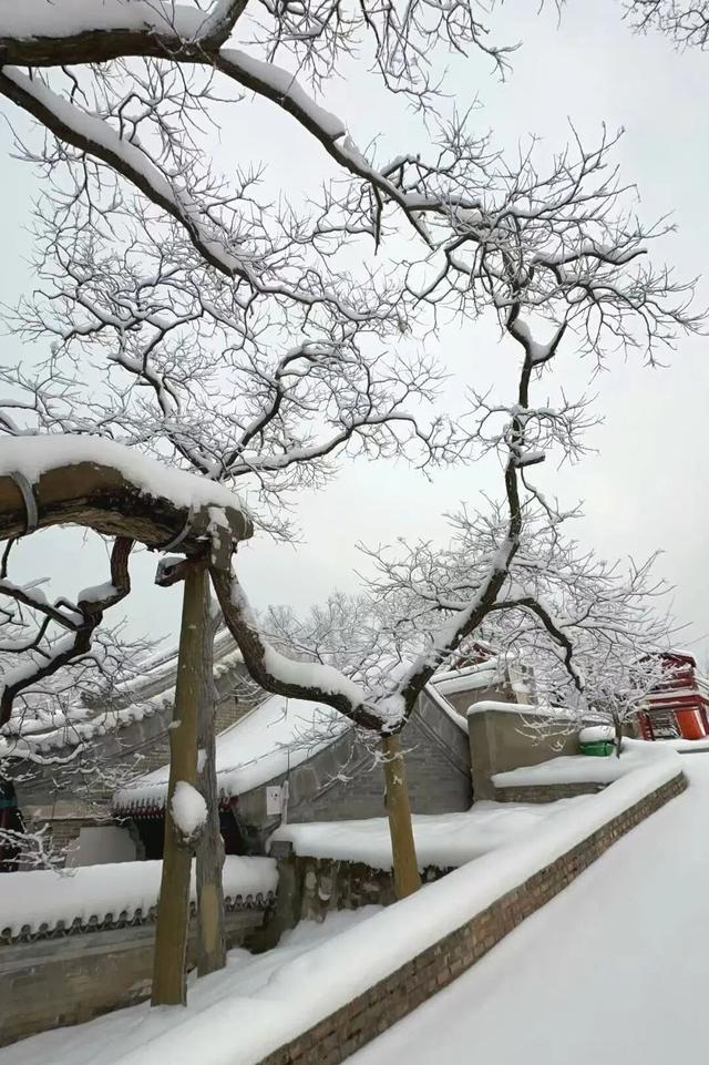 这是2026年昌平的第一场雪！