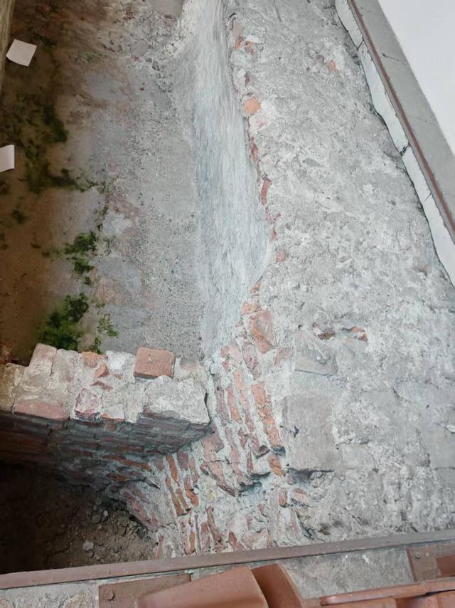 自然与人文的宝贵遗产——北京大学地球与空间科学学院阿尔卑斯野外综合地质国际对比实习记录