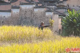 “我在乡间有亩田”升级进行时……图片
