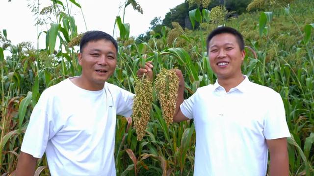 林口：水润民生兴百业