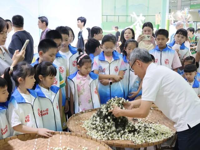 福小榕看城市丨“茉莉香韵 小玩家趣享茶”茉莉花茶文化节主题活动开展